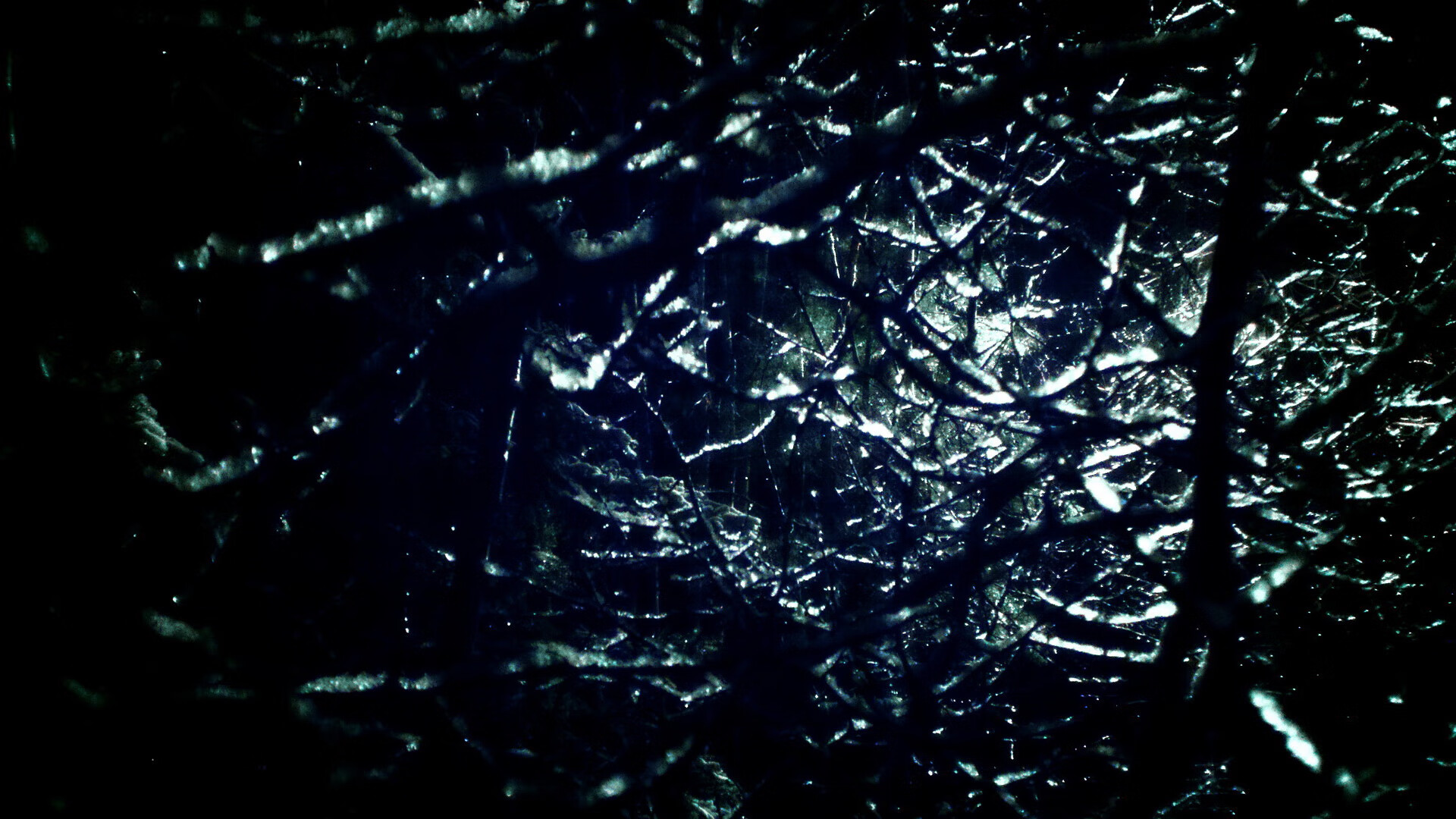 中国男子篮球职业联赛新签约阵容亮相,中国男子篮球职业联赛日程