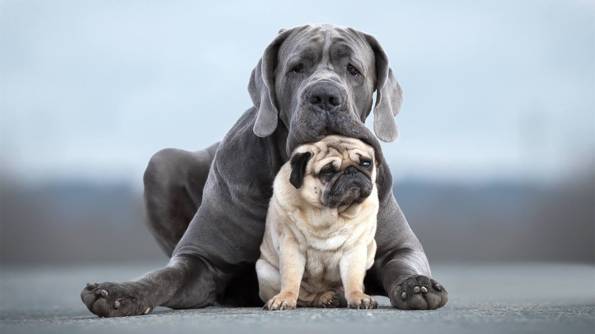 九游网页版官网-欧冠“名场面”：那些永载史册的经典瞬间，欧冠最经典的一场比赛