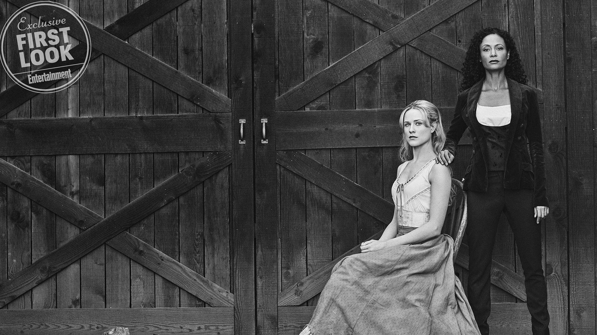 球迷狂欢夜:球场变成了欢乐的海洋,球迷疯狂庆祝照片