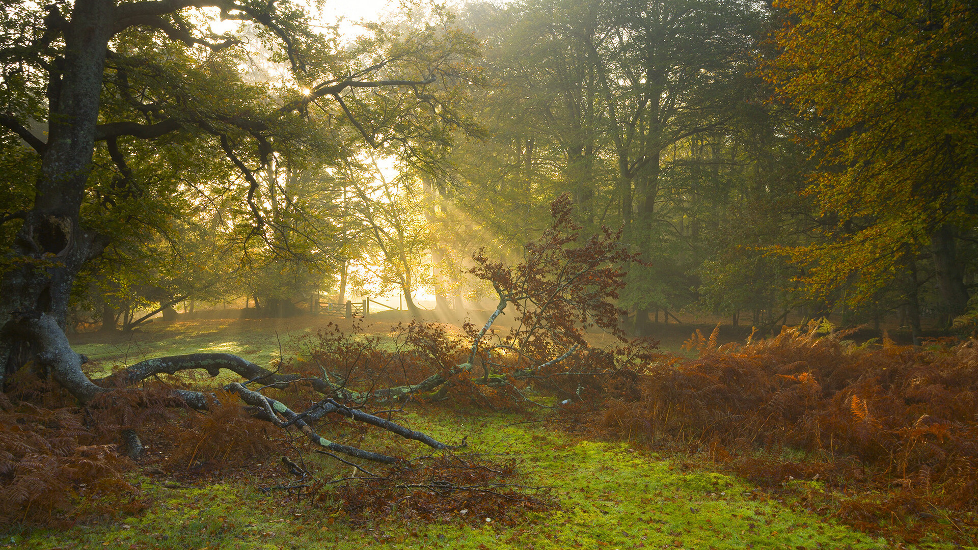 九游网页版官网入口-卫冕冠军压力山大，亚冠比赛前景未卜，亚冠冠军2021