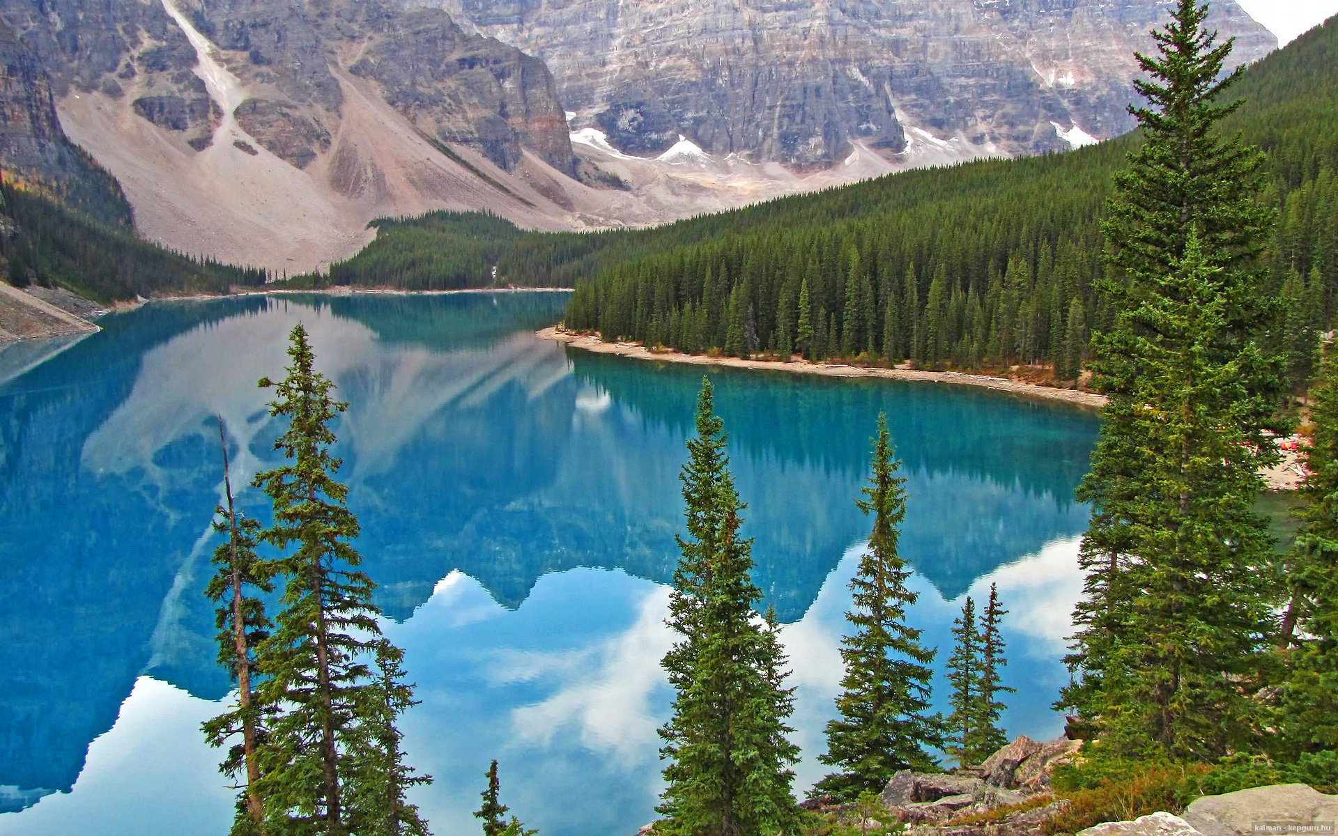 九游下载中心-女足世界杯突破收视纪录，去年女足世界杯