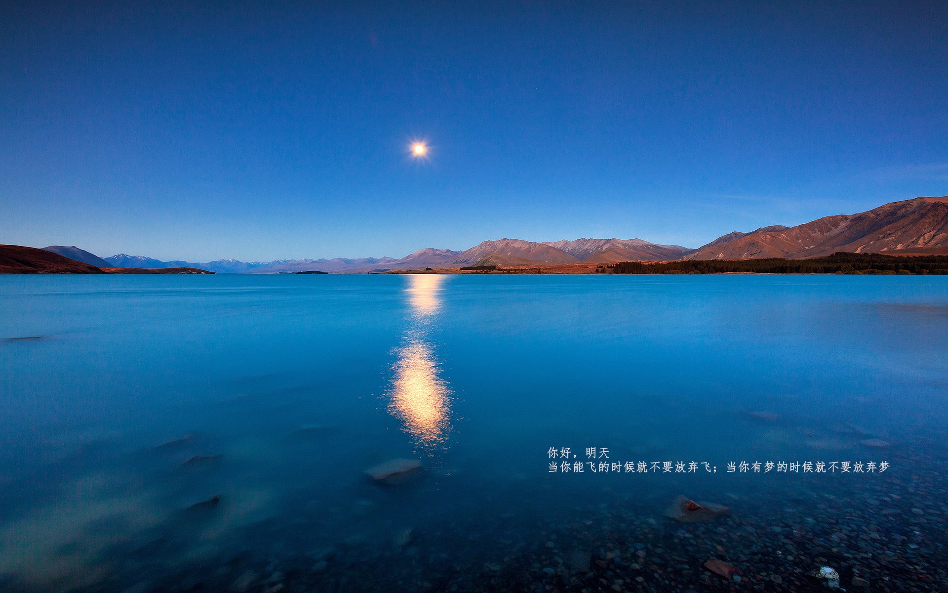 九游sports-密尔沃尔主场平局，保级压力不减，密尔沃基雄鹿最新消息