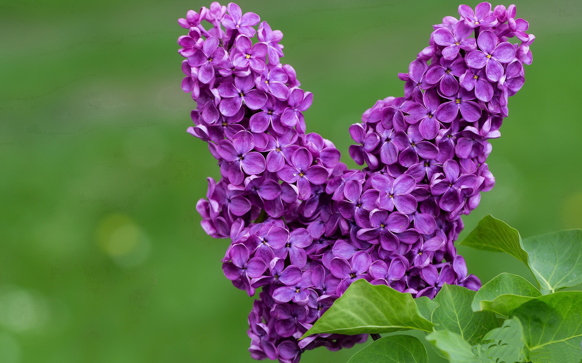 九游网页版官网-高球战术是否因防守强化而边缘化，高球发迹的原因