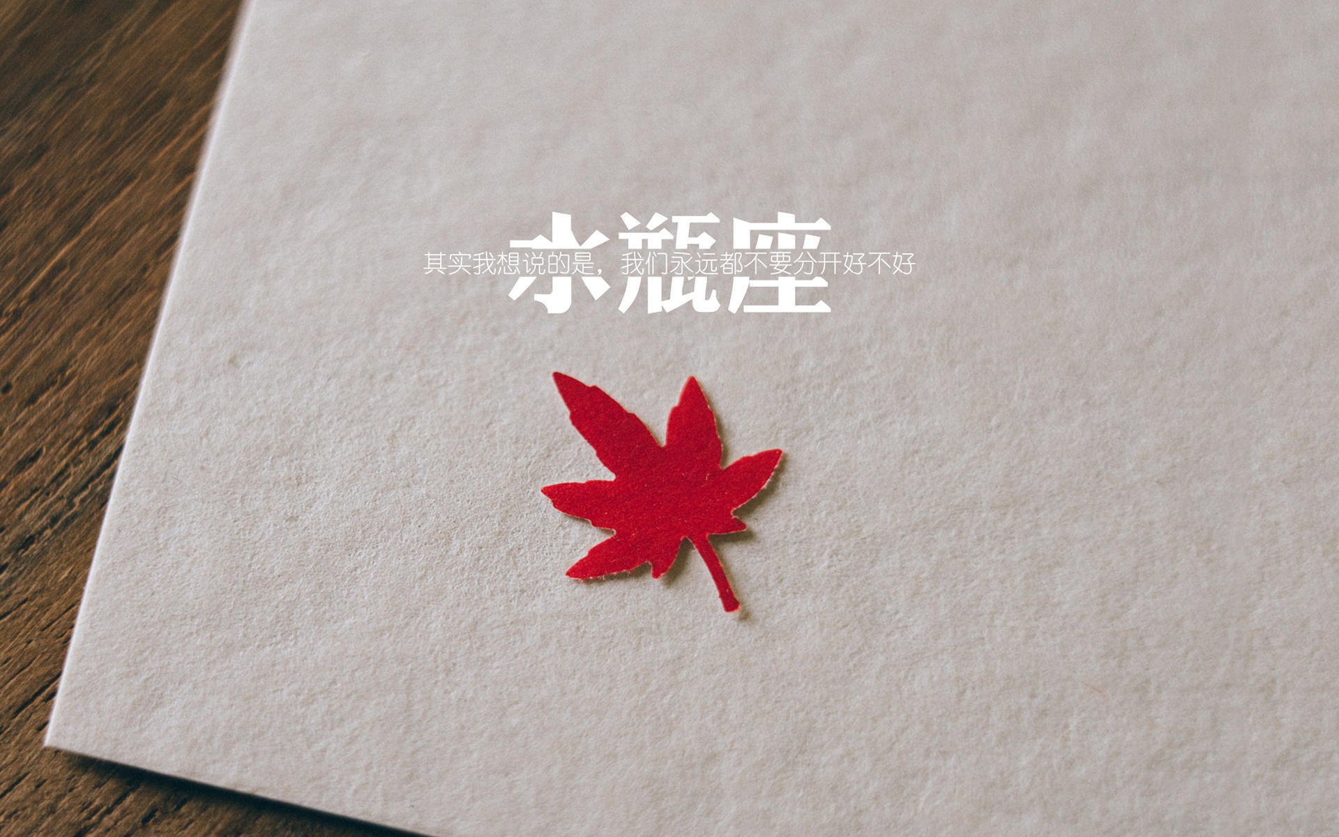 中国足球前锋进球效率研究,国内足球前锋