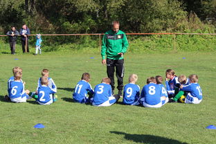 Jiu You-意甲赛事中应用心理暗示战术干预效果研究