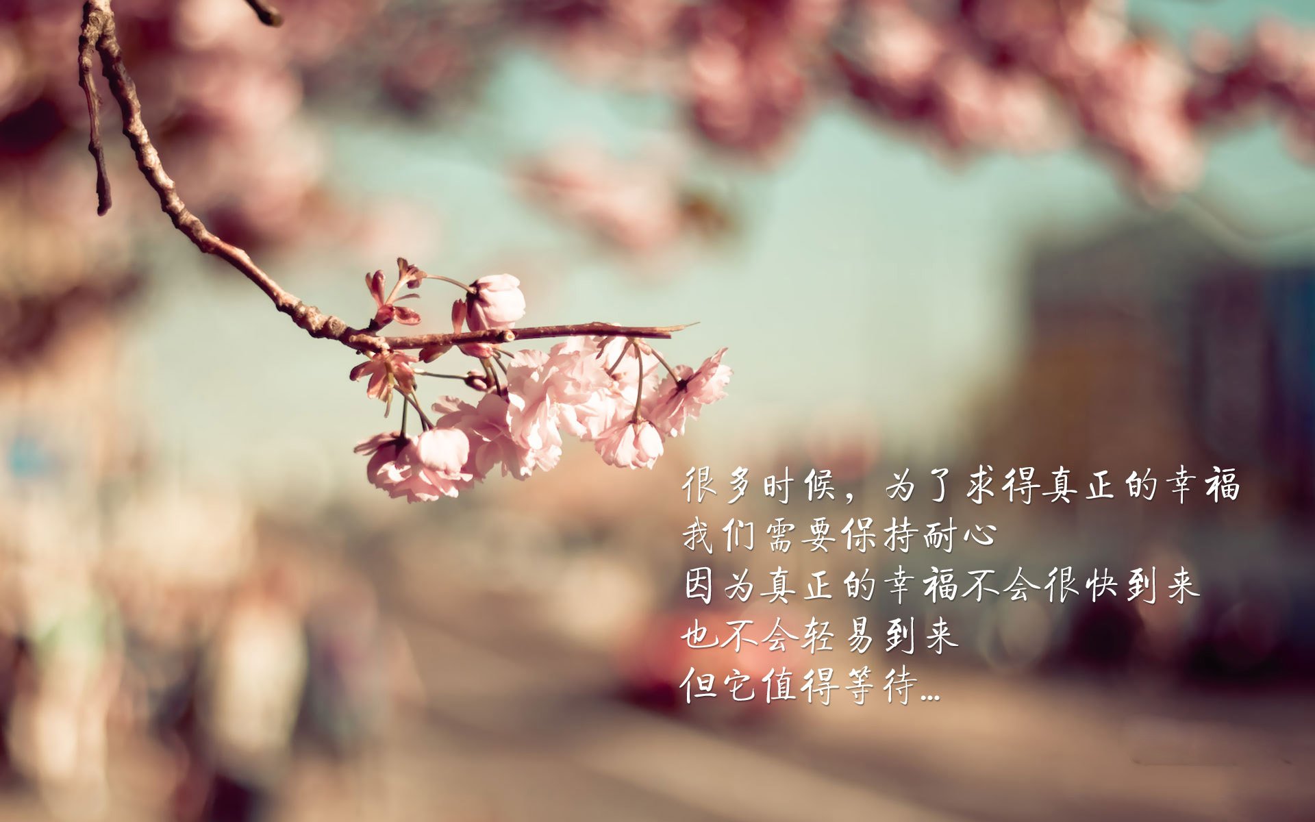 波兰队在国际乒联混合团体世界杯中的整体战术与技术分析,波兰乒乓球队