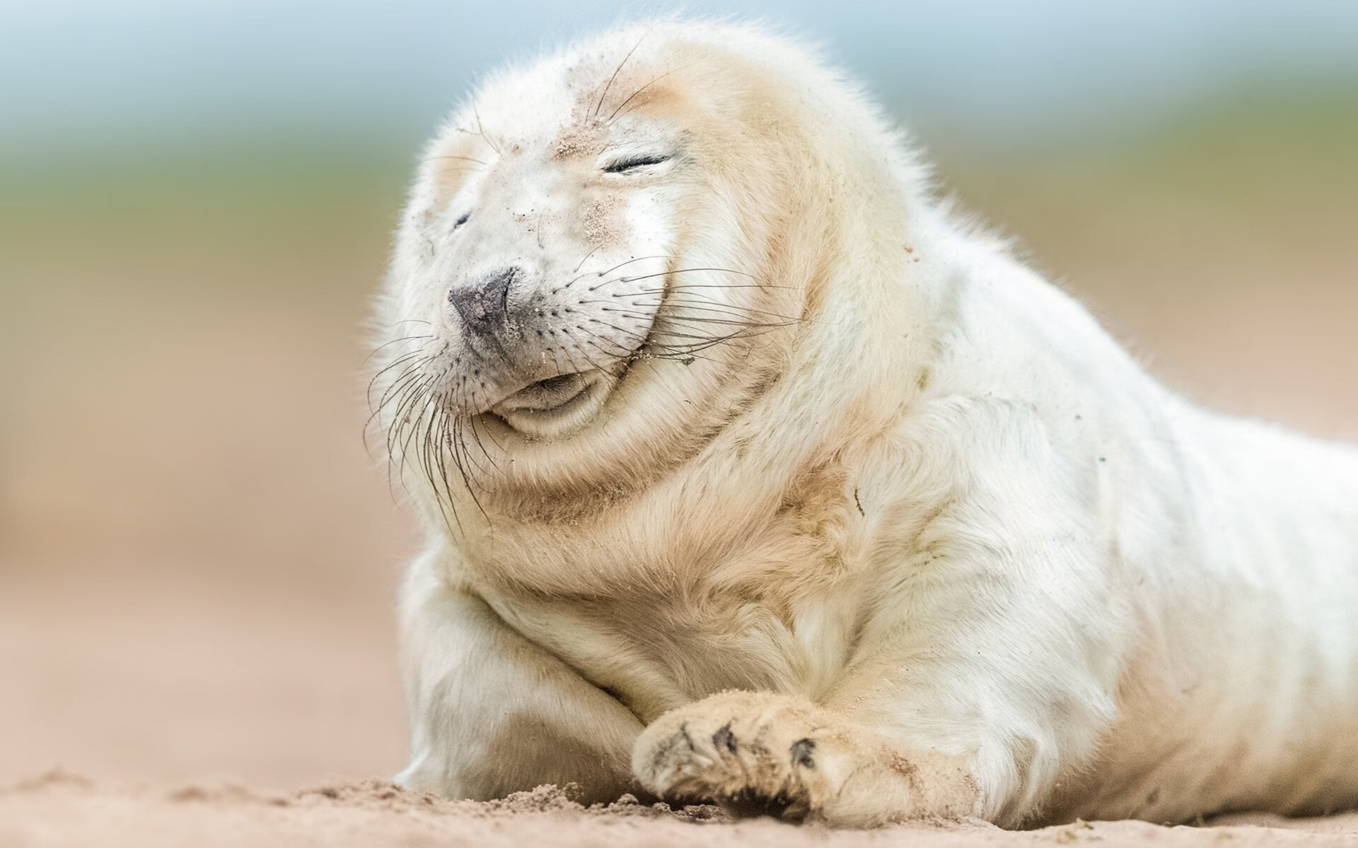 罗马尼亚队赛制探讨:如何通过合理赛制实现团体协作与心理调节