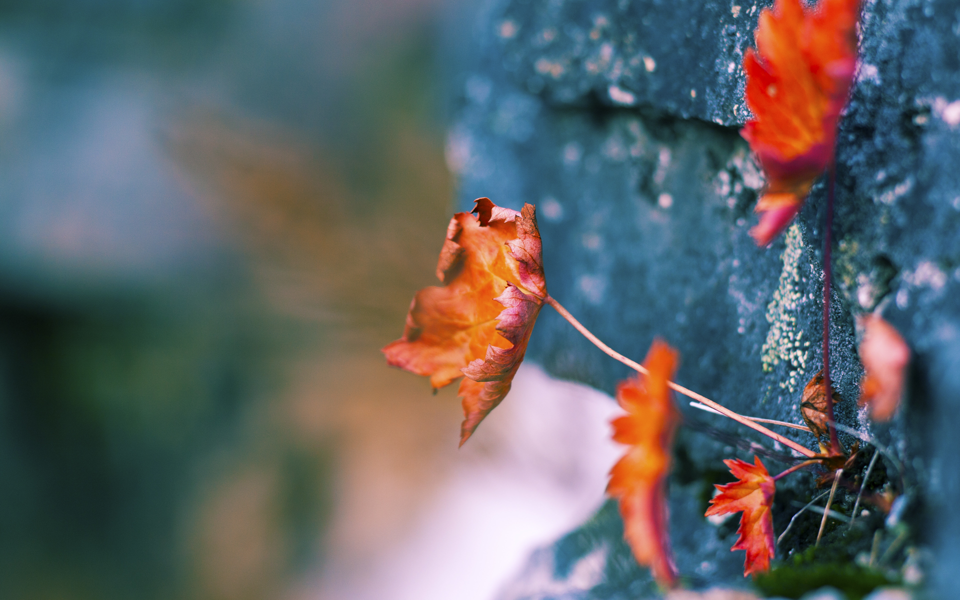 九游下载中心-足球青训缺少转会收益回报机制，足球青训赚钱吗
