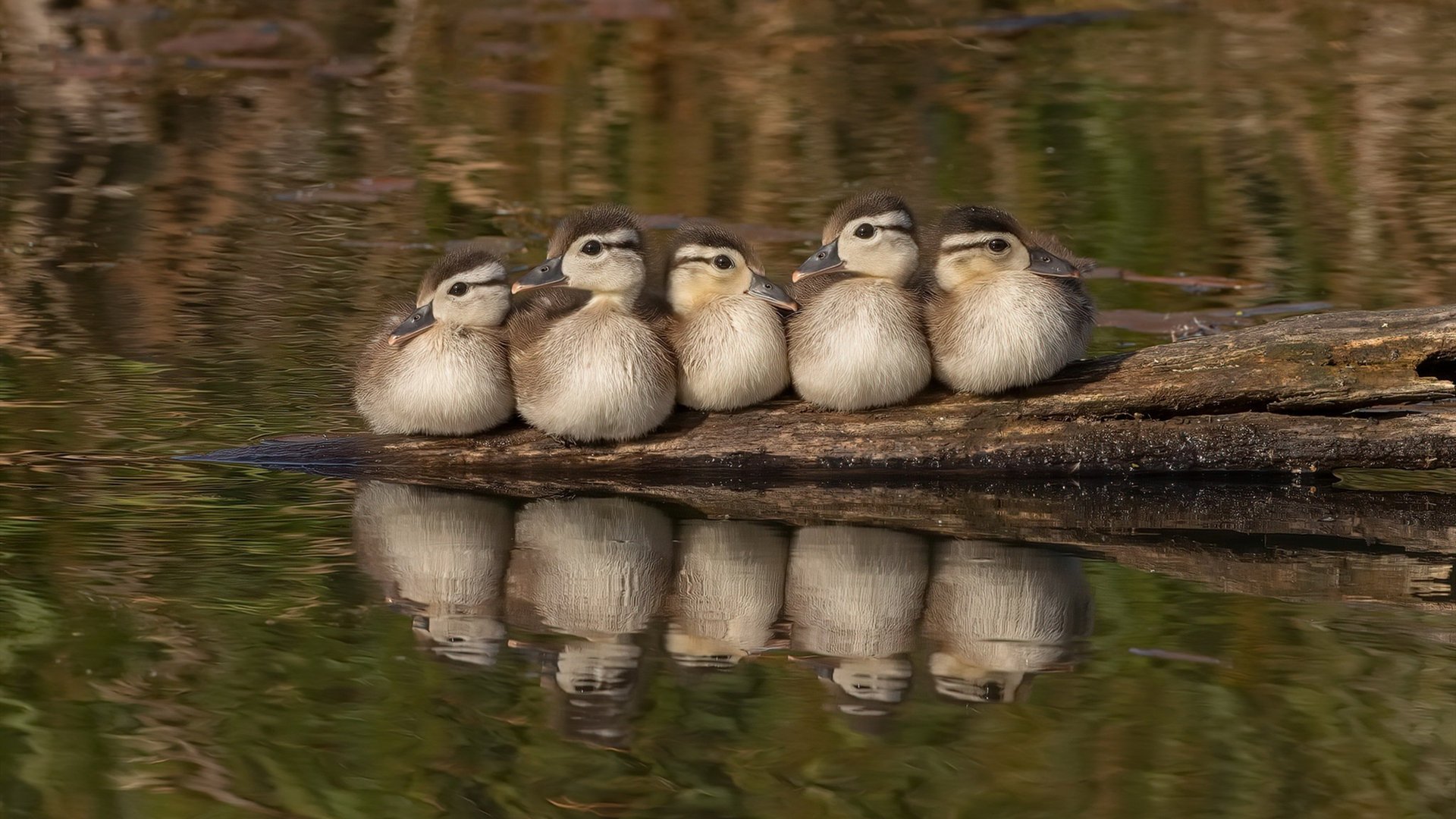 世界杯令人热血沸腾的瞬间:不可思议的逆袭,世界杯片段