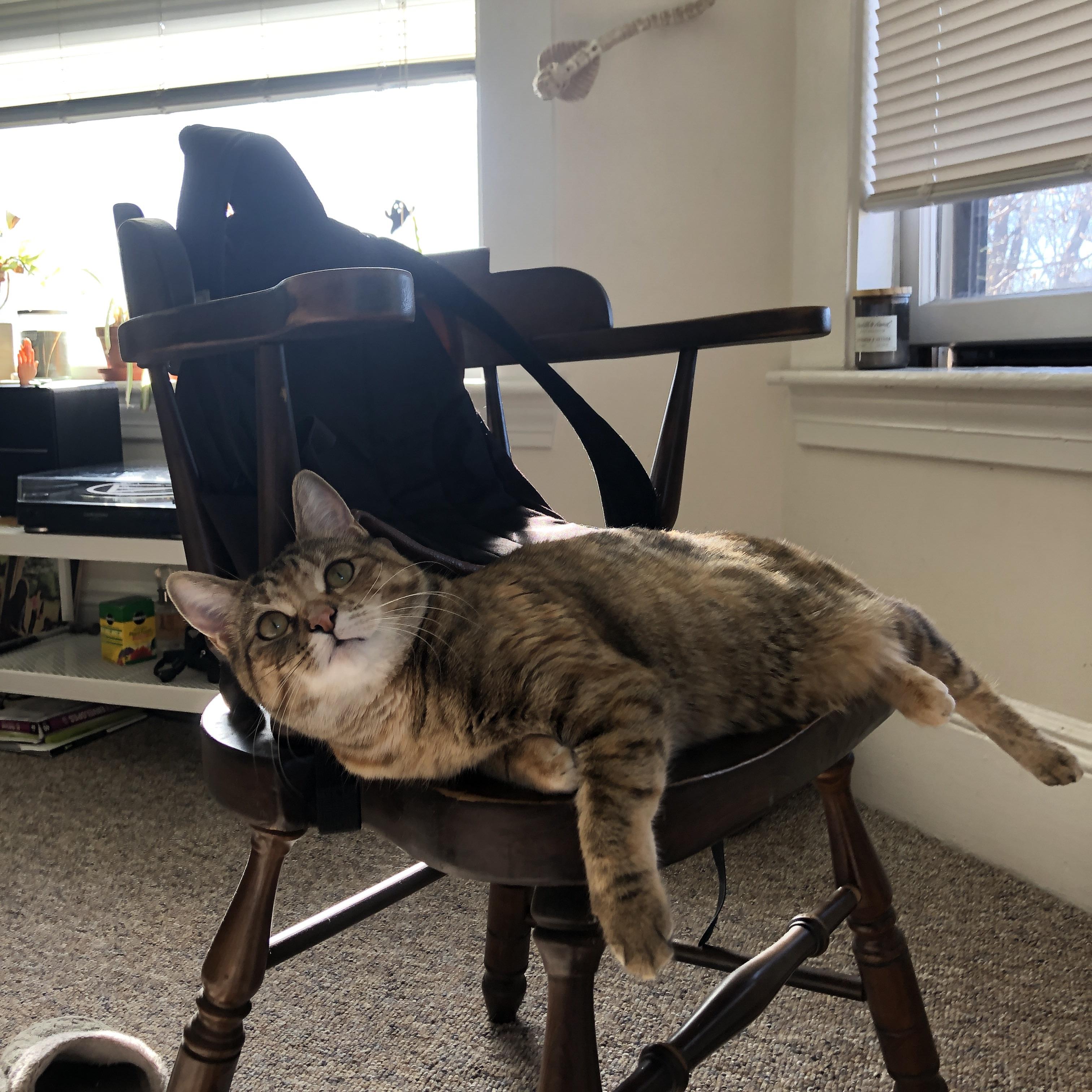 九游jiuyou-传统文化元素融入足球场设计，彰显文化底蕴，足球场文化布置