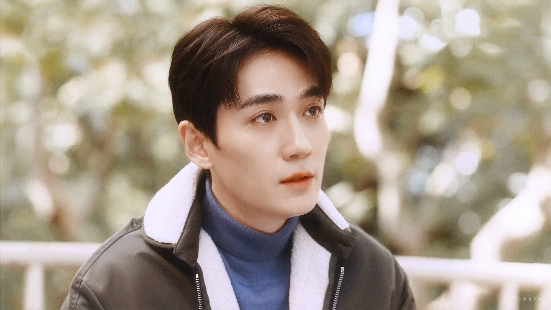 德甲策略变革:变化多样,精彩纷呈!,德甲形势分析