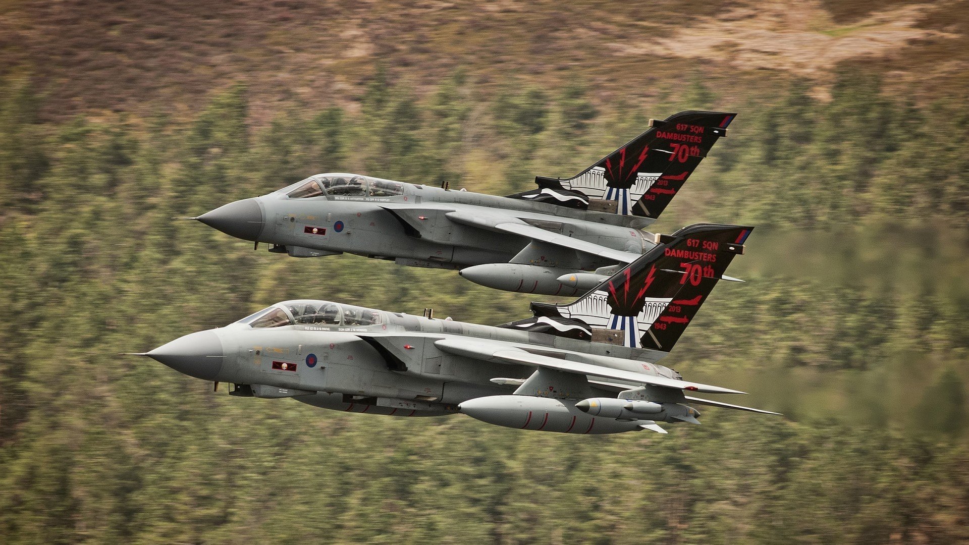 自由泳接力突尼斯男队配合默契,4×200自由泳接力世界记录