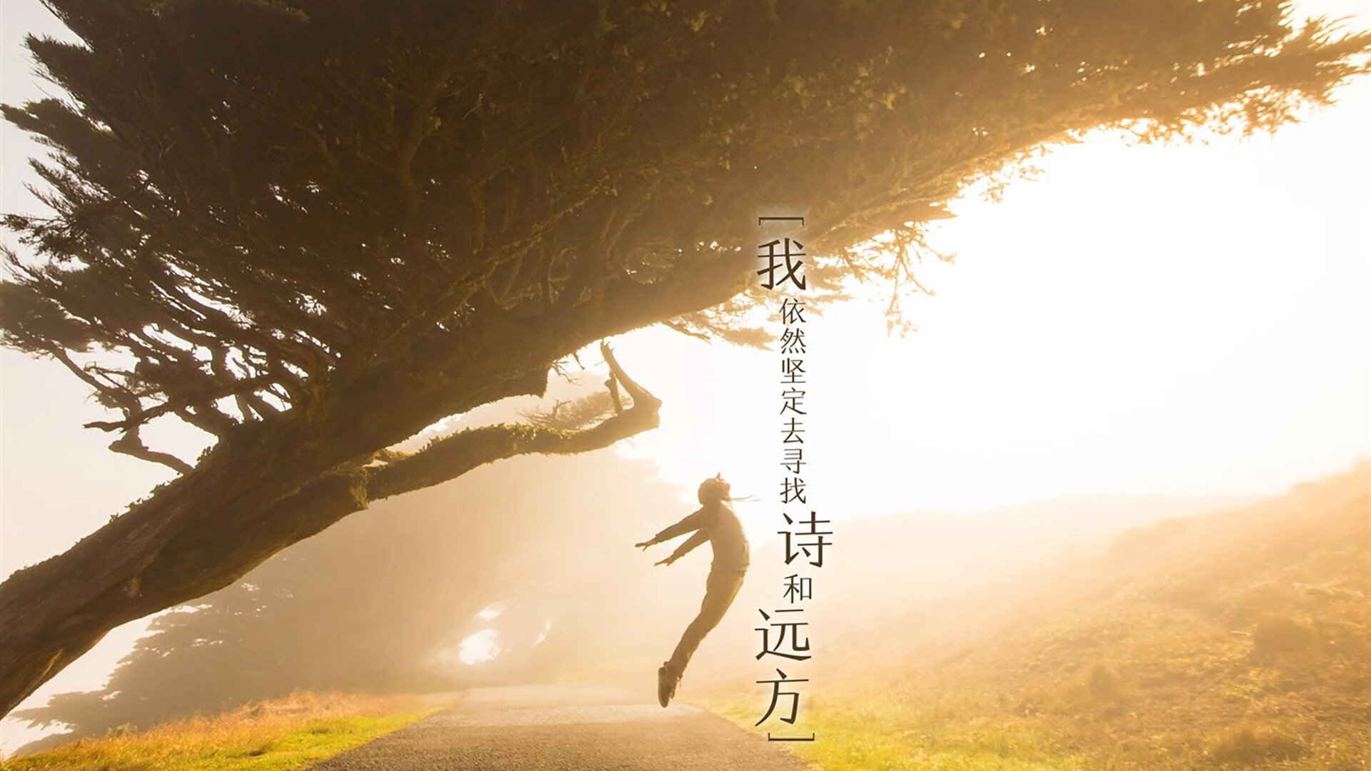 西甲青训营成果首次公布,西甲青年联赛