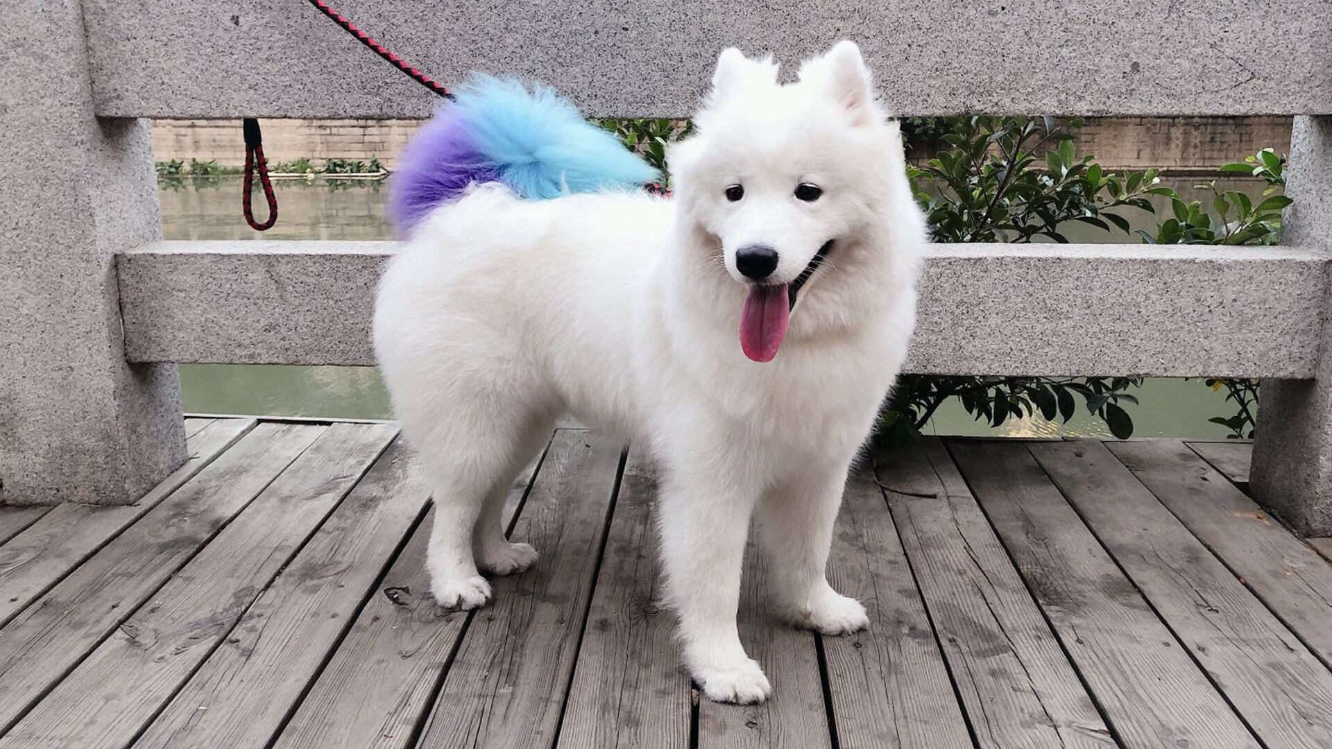 足球赛事现场音乐设计提升观众情绪反应,足球场上音乐