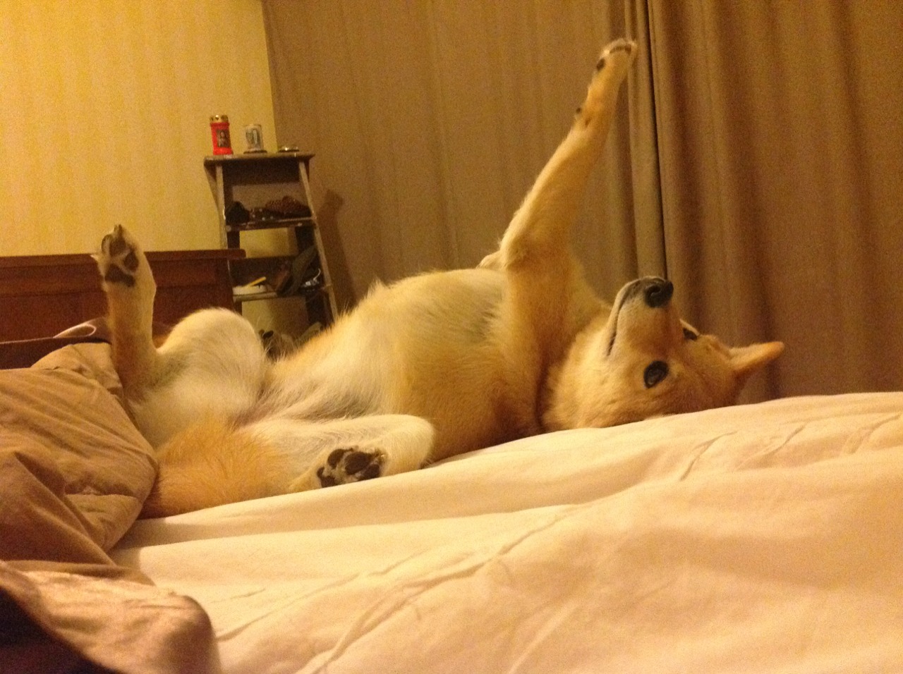 骑士控卫通过专项视频学习弥补防守漏洞,骑士控球后卫是谁